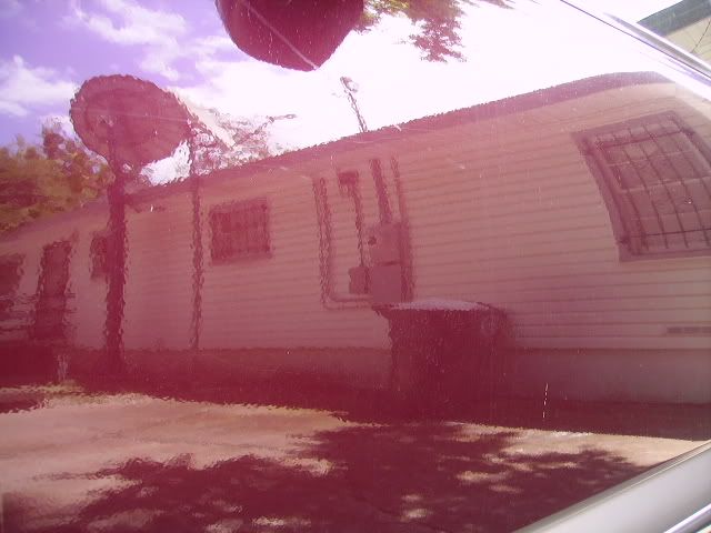 PICT2252.jpg