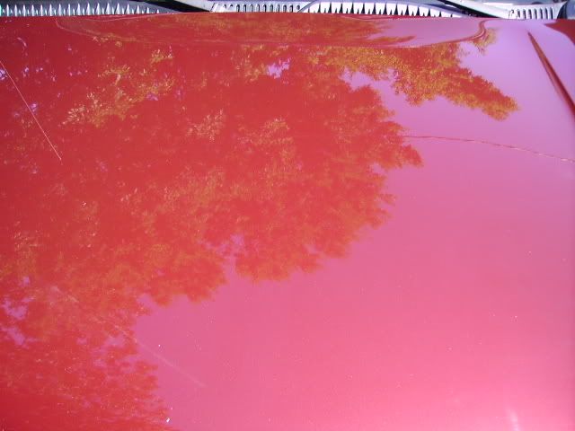 PICT2268.jpg
