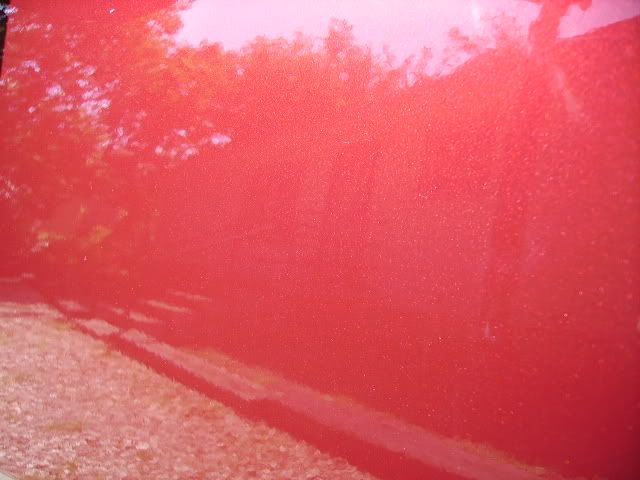 PICT2271.jpg
