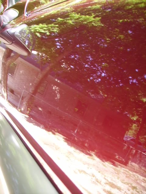 PICT2277.jpg