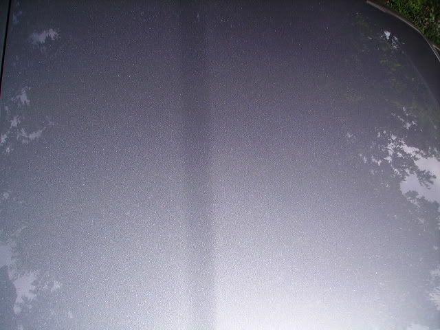 PICT1952.jpg