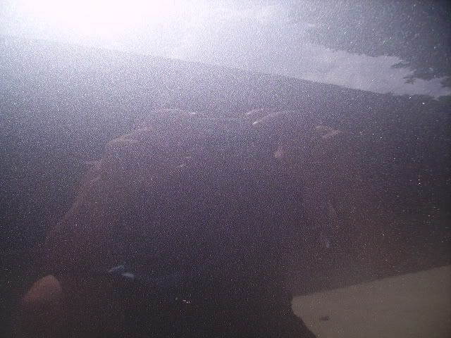 PICT1965.jpg
