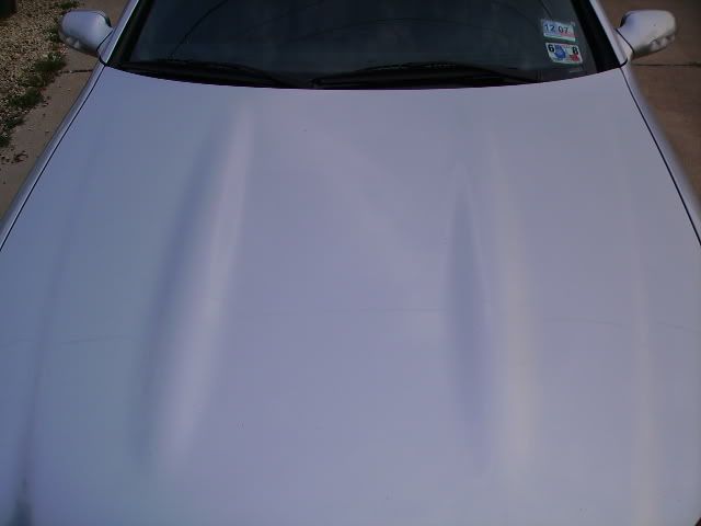 PICT2681.jpg