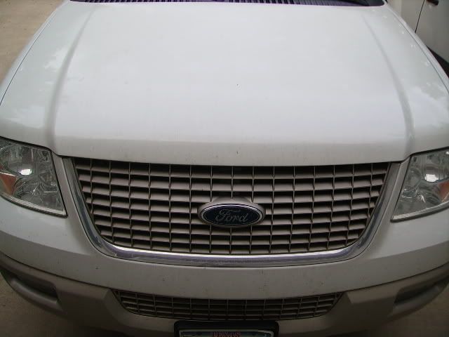 PICT1558.jpg