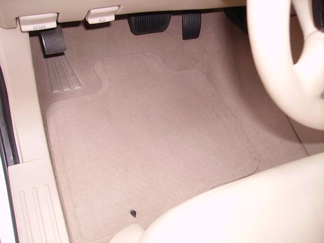 PICT1574.jpg