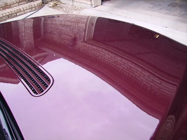 PICT1768.jpg