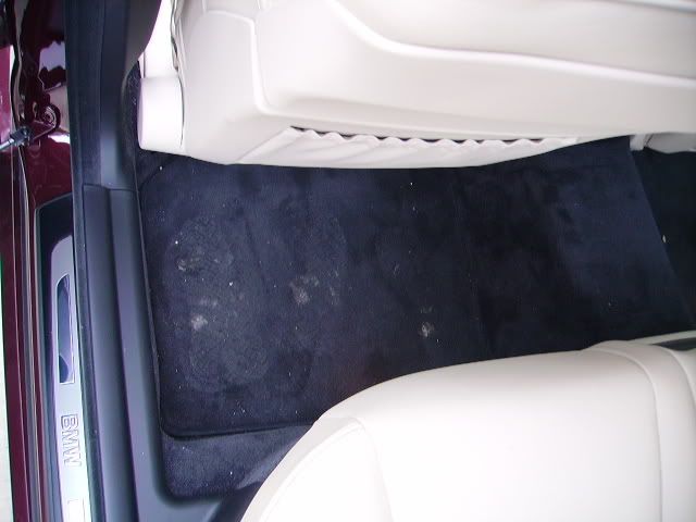 PICT1772.jpg