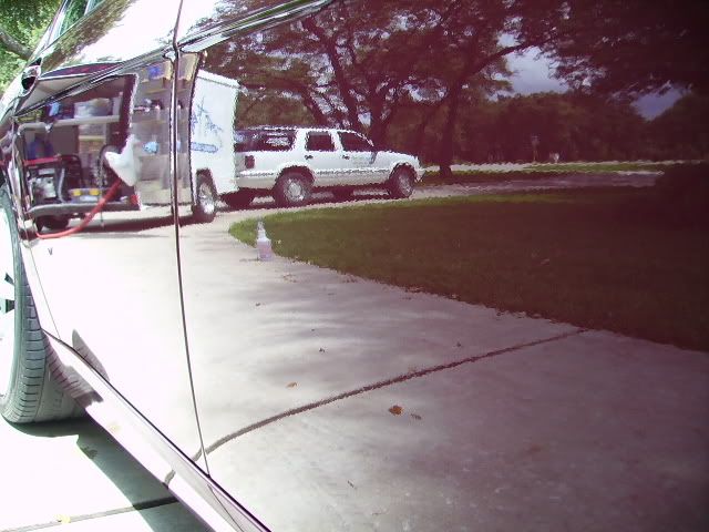 PICT1781.jpg