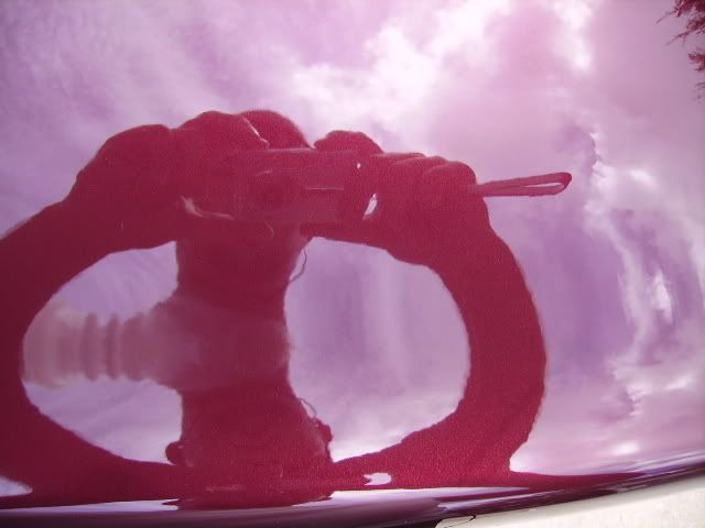 PICT1782.jpg