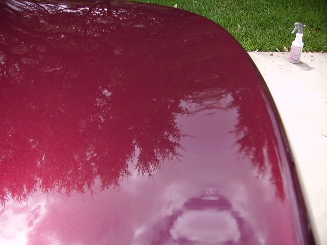 PICT1783.jpg