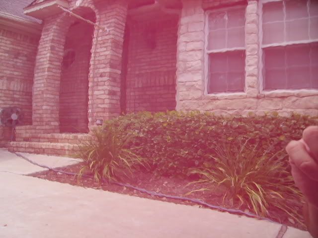 PICT1784.jpg
