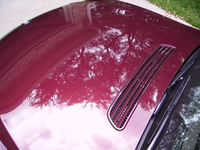 PICT1785.jpg