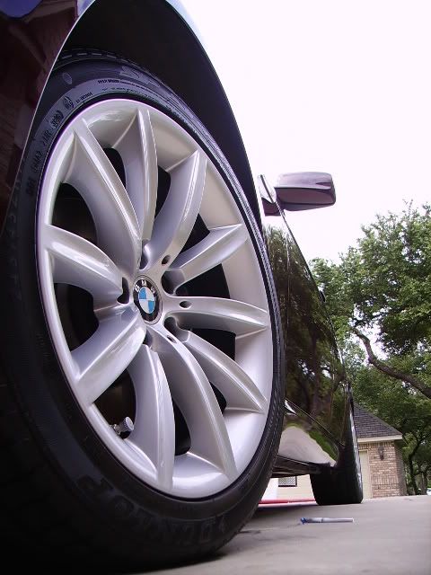 PICT1786.jpg