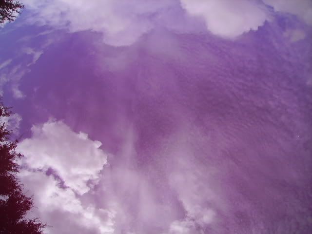 PICT1787.jpg