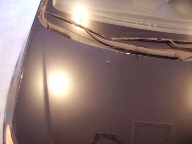 PICT2342.jpg