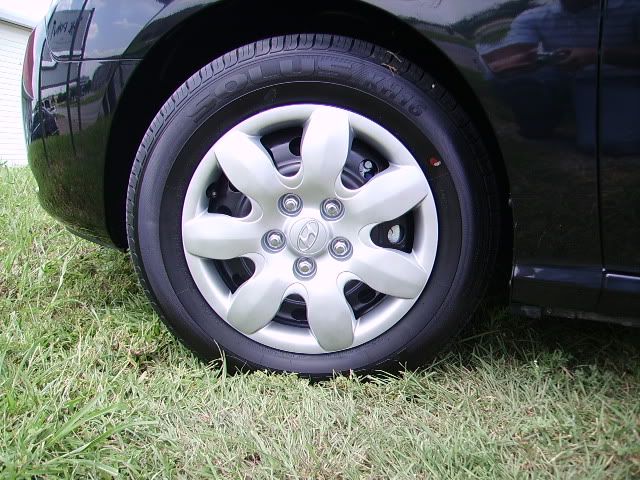 PICT2351.jpg