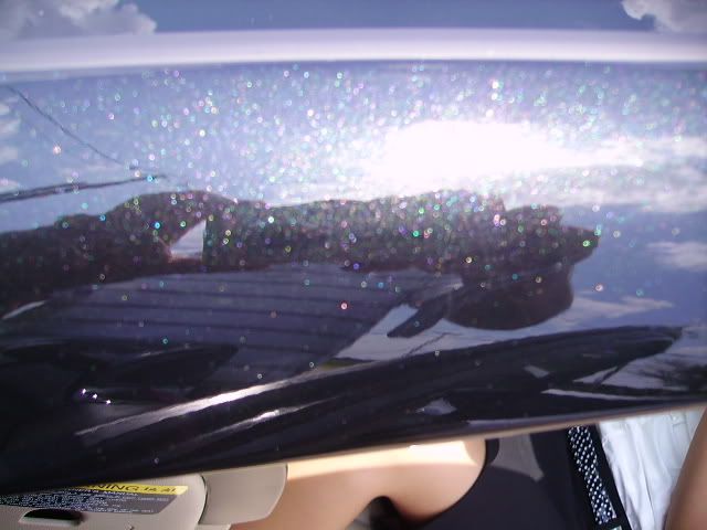 PICT2352.jpg