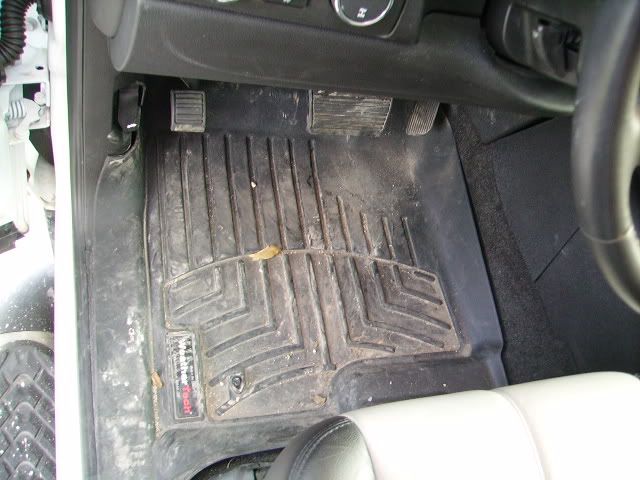 PICT2361.jpg
