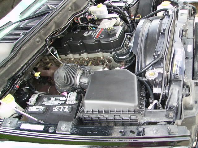 PICT2811.jpg