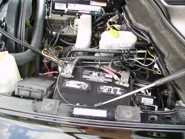 PICT2812.jpg