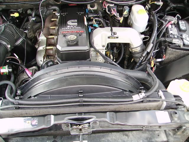 PICT2813.jpg