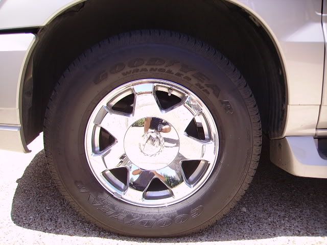 PICT2159.jpg