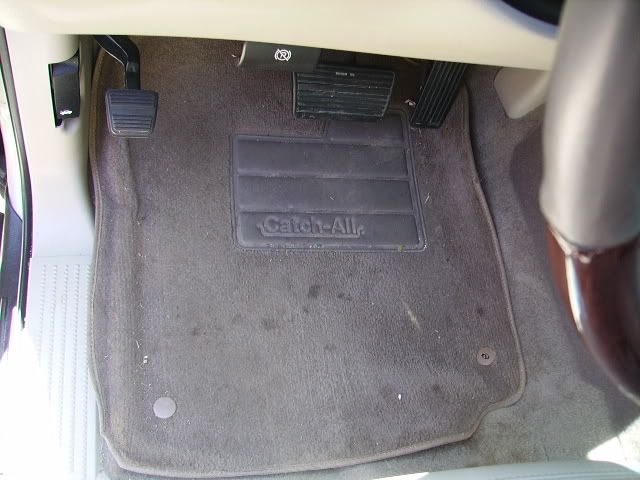 PICT2165.jpg