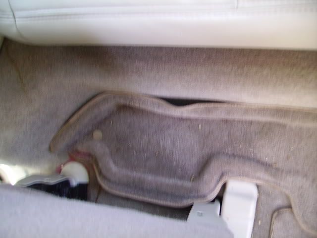 PICT2168.jpg