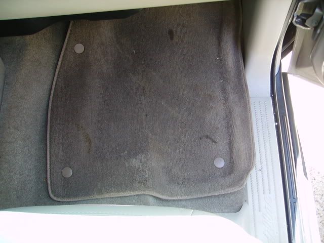 PICT2172.jpg