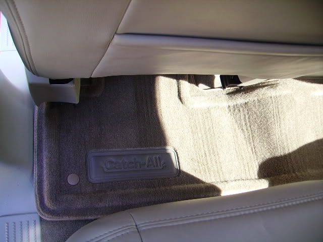 PICT2184.jpg