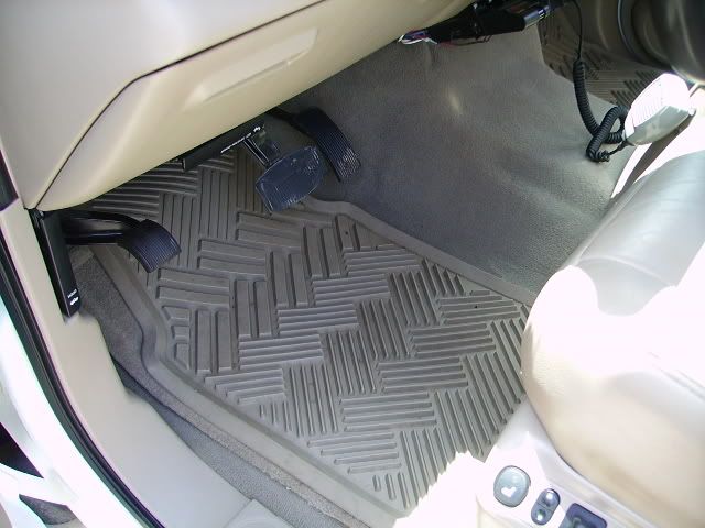 PICT1409.jpg