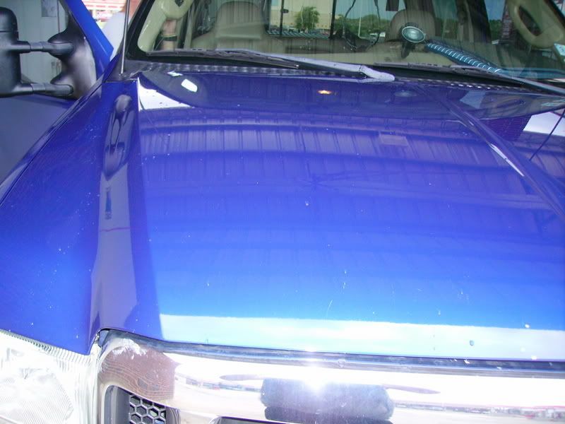 PICT1223.jpg
