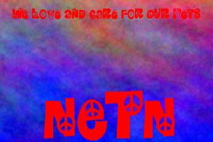 Curious? Click here to learn more