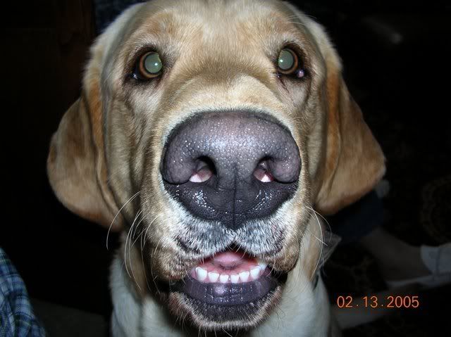 DSCN0018.jpg