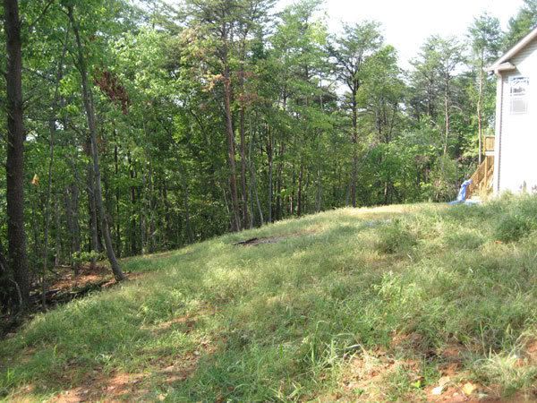 backyard-hills.jpg