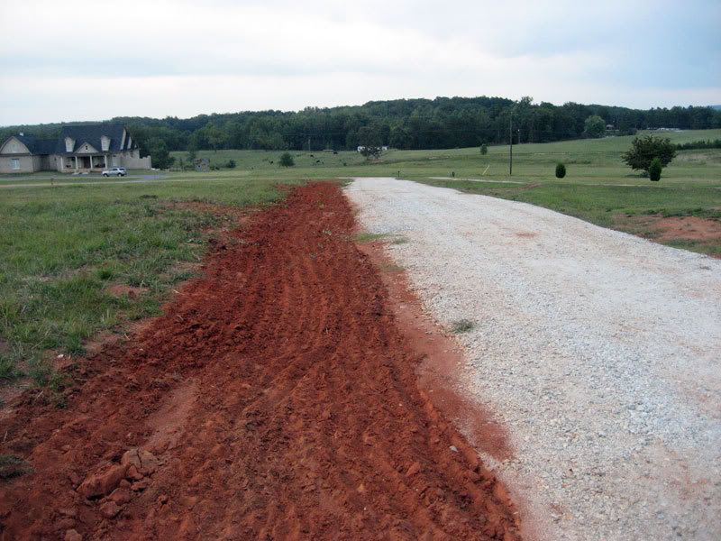 seeding-at-drive.jpg