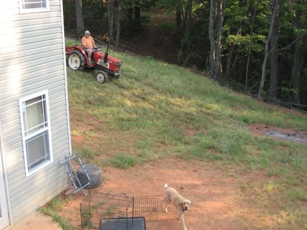 steepest.jpg