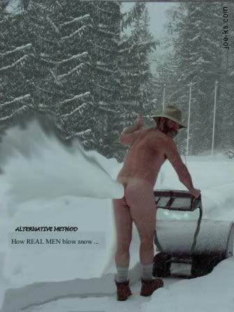 http://i191.photobucket.com/albums/z113/Ralphia08/SnowblowerDeluxe.jpg