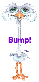 BUMP-vi.gif