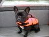 DSCN3374.jpg lifejacket image by bramblebonnie