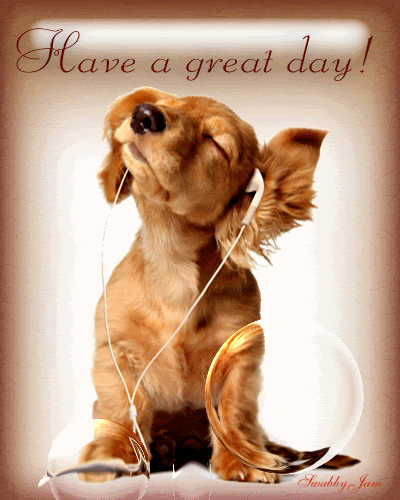 have a nice day Pictures, Images and Photos