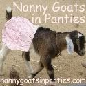 Nanny Goat in Panties