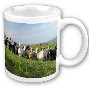 Got goat?