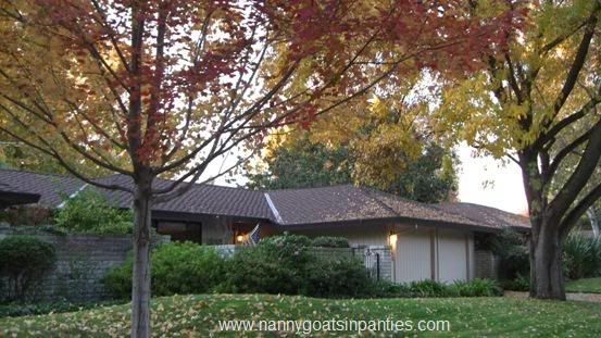 sacramento city of trees