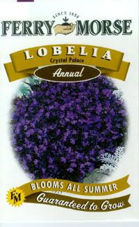 lobelia crystal palace