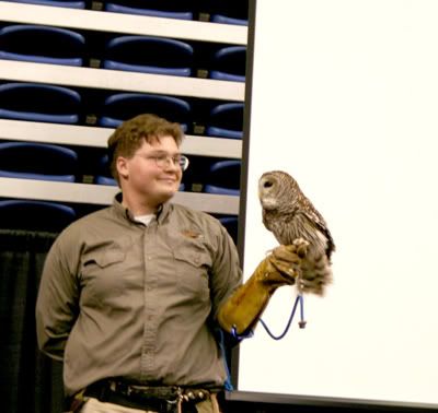 Barred Owl