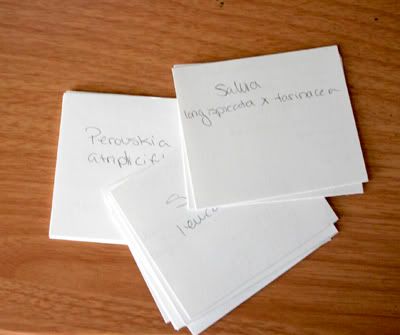 flash cards