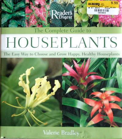 houseplants