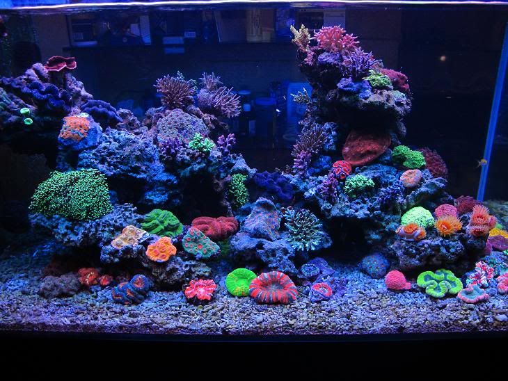 FTS1.jpg