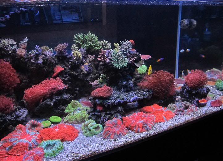 fts-1.jpg